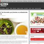 I corsi sul tè di Protea e Tac segnalati da Mixerplanet