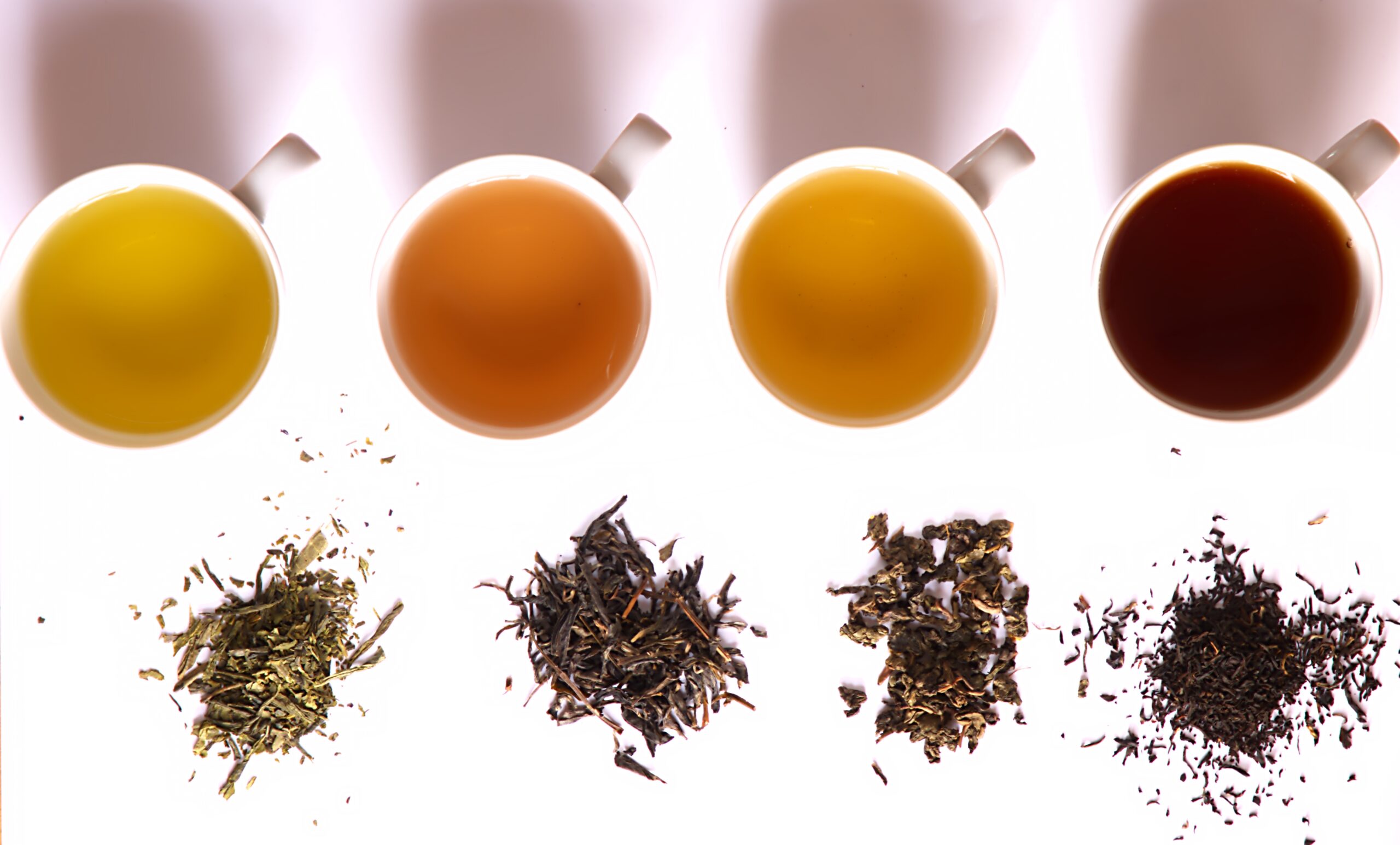 Diventa TAC TEA SOMMELIER® – NUOVE DATE TEA101