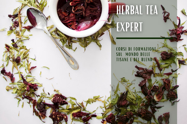 corso herbal tea expert 101
