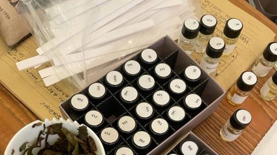 Sensory Expert PRO ora anche online!